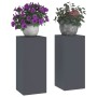 Soportes para plantas 2 pcs Antracita 24 x 24 x 55 cm Acero
