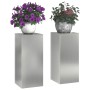 Soportes para plantas 2 pcs Plateado 24 x 24 x 55 cm