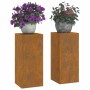 Soportes para plantas 2 pcs Oxidado 24 x 24 x 55 cm