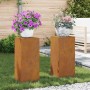 Soportes para plantas 2 pcs Oxidado 24 x 24 x 55 cm