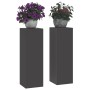 Soporte de plantas 2 pcs Negro 24 x 24 x 75 cm Acero en Soportes para macetas | Comprar online en Foro24