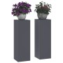 Soportes para plantas 2 pcs Antracita 24 x 24 x 75 cm Acero