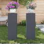 Soportes para plantas 2 pcs Antracita 24 x 24 x 75 cm Acero