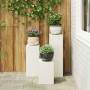Soportes para plantas 3 pcs 24 x 24 x 75 cm Acero