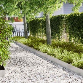 Borduras para césped 20 pcs Plateado 100 x 0.5 x 20 cm