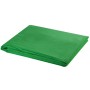 Telón de fondo para fotografía algodón verde 300x300 cm croma de vidaXL, Fondos - Ref: Foro24-190002, Precio: 27,91 €, Descue...