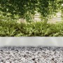 Borde de césped para jardín Plateado 450 x 25 cm