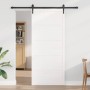 Puerta de Granero Blanco 100 x 208 cm Madera maciza de Pino