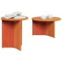 Mesa de Café 2 pcs Marrón cera 49 x 49 x 28 cm