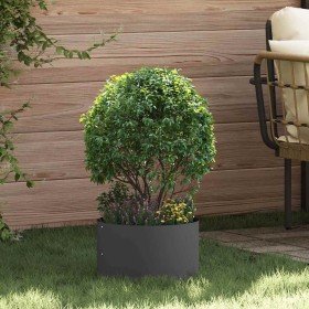 Jardineras 5 pcs Negro 30 x 30 x 20 cm Acero en Maceteros y jardineras | Comprar online en Foro24