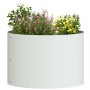 Jardineras 5 pcs Blanco 30 x 30 x 20 cm Acero