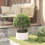 Jardineras 5 pcs Blanco 30 x 30 x 20 cm Acero
