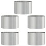 Jardineras 5 pcs Plateado 30 x 30 x 20 cm Acero inoxidable