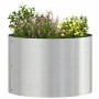 Jardineras 5 pcs Plateado 30 x 30 x 20 cm Acero inoxidable