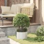 Jardineras 5 pcs Plateado 30 x 30 x 20 cm Acero galvanizado