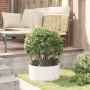 Jardineras 5 pcs Blanco 40 x 40 x 20 cm Acero