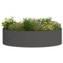 Jardineras 5 pcs Negro 80 x 80 x 20 cm Acero