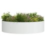 Jardineras 5 pcs Blanco 80 x 80 x 20 cm Acero