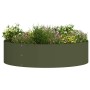 Jardineras 5 pcs Verde oliva 80 x 80 x 20 cm Acero