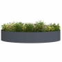 Jardineras 5 pcs Antracita 120 x 120 x 20 cm Acero