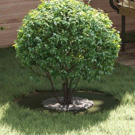 adecuado para Anillos de Árbol Plano 5 pcs Verde oliva en Maceteros y jardineras | Comprar online en Foro24