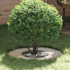 adecuado para Anillos de Árbol Plano 5 pcs Plateado Ø30 / 60 cm en Maceteros y jardineras | Comprar online en Foro24