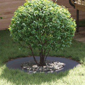 adecuado para Anillo de Árbol Plano Antracita Ø40 / 70 cm Acero en Maceteros y jardineras | Comprar online en Foro24