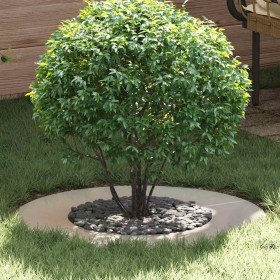 adecuado para Anillo de Árbol Plano Plateado Ø40 / 70 cm en Maceteros y jardineras | Comprar online en Foro24