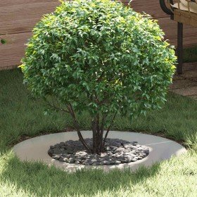 adecuado para Anillo de Árbol Plano Plateado Ø40 / 70 cm en Maceteros y jardineras | Comprar online en Foro24