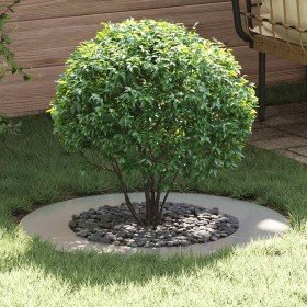 adecuado para Anillo de Árbol Plano Plateado Ø50 / 80 cm en Maceteros y jardineras | Comprar online en Foro24