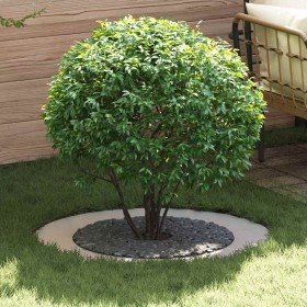 adecuado para Anillo de Árbol Plano Plateado Ø60 / 90 cm en Maceteros y jardineras | Comprar online en Foro24