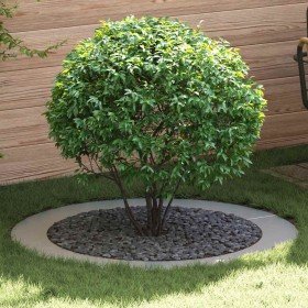 adecuado para Anillo de Árbol Plano Plateado Ø90 / 120 cm en Maceteros y jardineras | Comprar online en Foro24