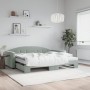 Sofá cama nido con colchón terciopelo gris claro 90x190 cm de vidaXL, Camas y somieres - Ref: Foro24-3197338, Precio: 421,52 €