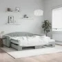 Sofá cama nido con colchón terciopelo gris claro 100x200 cm de vidaXL, Camas y somieres - Ref: Foro24-3197332, Precio: 429,99...