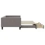 Trundle sofa bed with drawers taupe gray fabric 100x200 cm by vidaXL, Beds and slatted bases - Ref: Foro24-3196622, Price: 29...