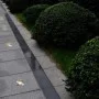 Quadratische Außenbodenleuchten 12 Einheiten von vidaXL, Außenbeleuchtung - Ref: Foro24-160437, Preis: 139,82 €, Rabatt: %