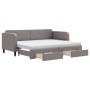 Ausziehbares Schlafsofa mit Schubladen, taupegrauer Stoff, 80 x 200 cm von vidaXL, Betten und Lattenroste - Ref: Foro24-31968...