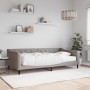 Sofa bed with taupe gray fabric mattress 100x200 cm by vidaXL, Beds and slatted bases - Ref: Foro24-3197416, Price: 348,44 €,...