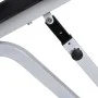 Abdominal/exercise bench by vidaXL, Weight lifting machines - Ref: Foro24-90360, Price: 126,22 €, Discount: %