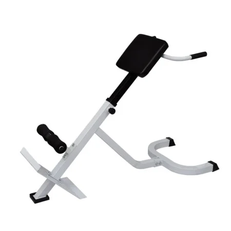 Lendenwirbelsäule von vidaXL, Gewichthebermaschinen - Ref: Foro24-90361, Preis: 129,87 €, Rabatt: %