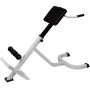 Lower back exercise bank by vidaXL, Weight lifting machines - Ref: Foro24-90361, Price: 129,87 €, Discount: %