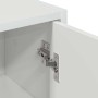 Gabinete de Baño con puerta Blanco brillante 39 x 23.5 x 65 cm