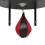 Set de plataforma y pera de boxeo giratoria con soporte de vidaXL, Punchings y sacos de entrenamiento - Ref: Foro24-90368, Pr...