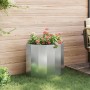 Jardinera Plateado 60 x 30 x 50 cm Acero Galvanizado
