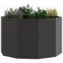 Jardinera Negro 60 x 60 x 35 cm Acero