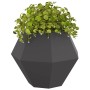 Jardinera 2 pcs Negro 75 x 75 x 60 cm Acero