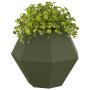 Jardinera 2 pcs Verde Oliva 75 x 75 x 60 cm Acero