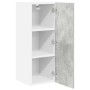 Mueble colgante Riga 2 pcs Gris Concreto y 30 x 31 x 80 cm