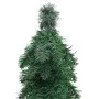 Artificial Christmas tree with 130 LEDs 210 cm by vidaXL, Christmas trees - Ref: Foro24-357693, Price: 60,55 €, Discount: %