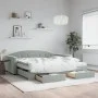 Sofá cama nido con cajones terciopelo gris claro 100x200 cm de vidaXL, Camas y somieres - Ref: Foro24-3197380, Precio: 472,09...